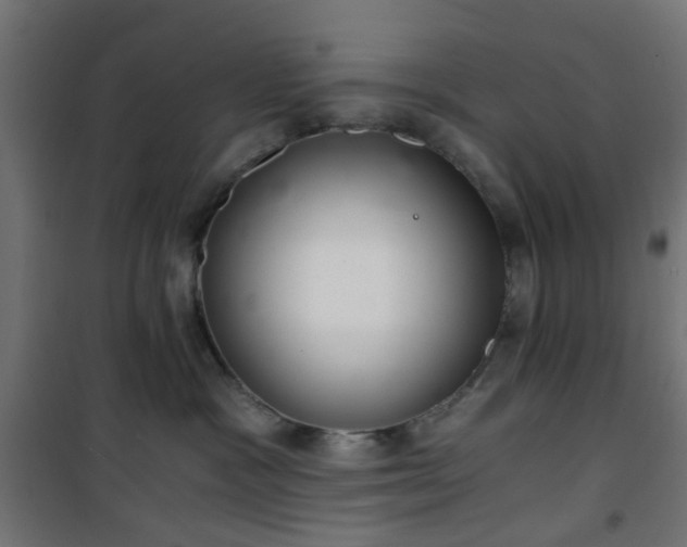 X0000101440333200807141312