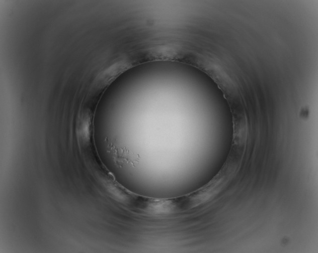 X0000101440334200807141312