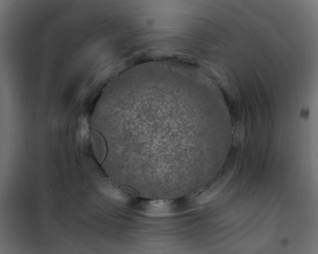 X0000101440335200807141312