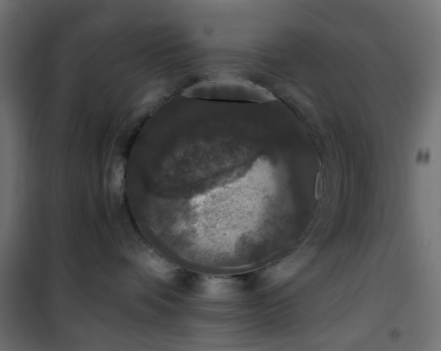 X0000101440336200807141312