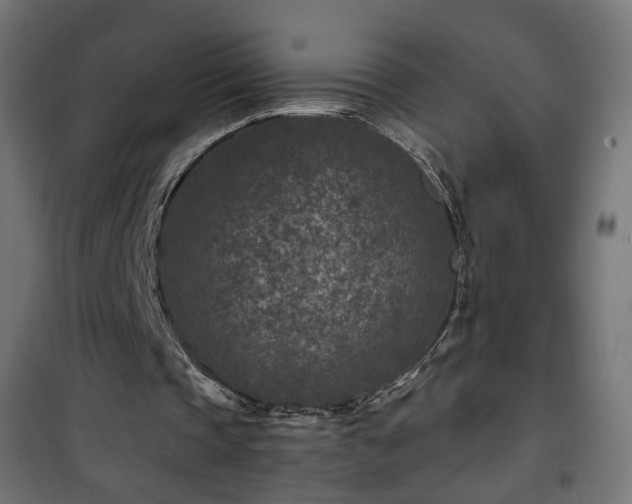 X0000101440337200807141312