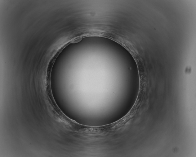 X0000101440338200807141312