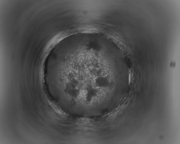 X0000101440339200807141312