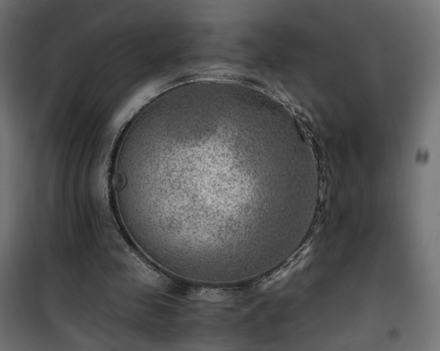 X0000101440341200807141312