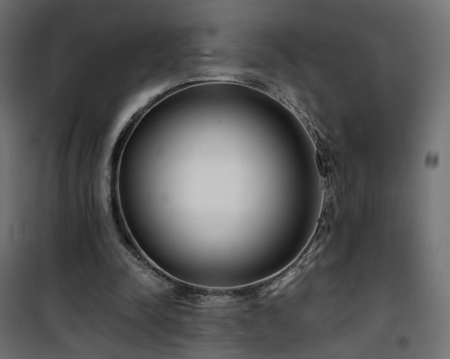 X0000101440342200807141312