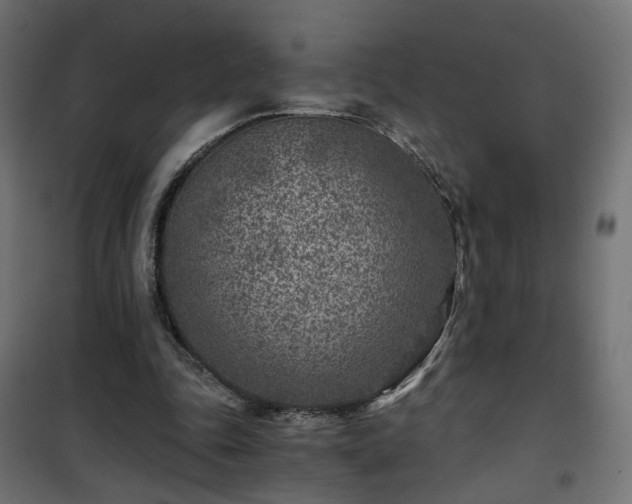 X0000101440343200807141312