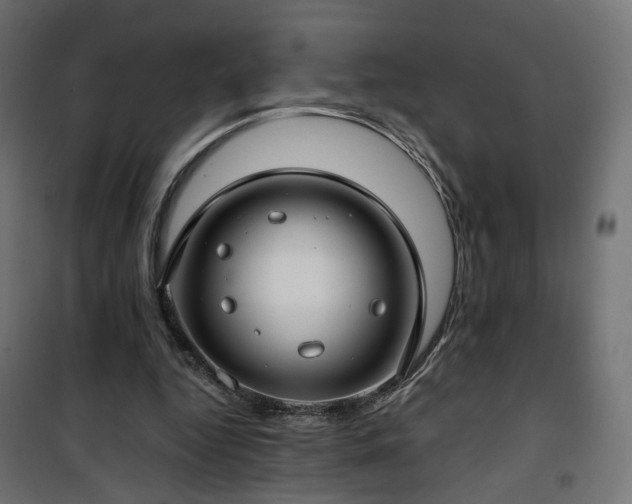 X0000101440344200807141312