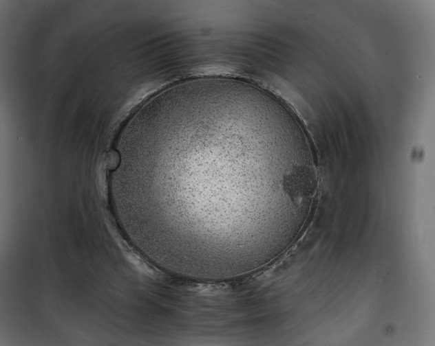 X0000101440345200807141312