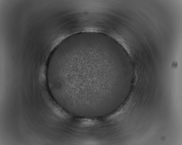 X0000101440347200807141312