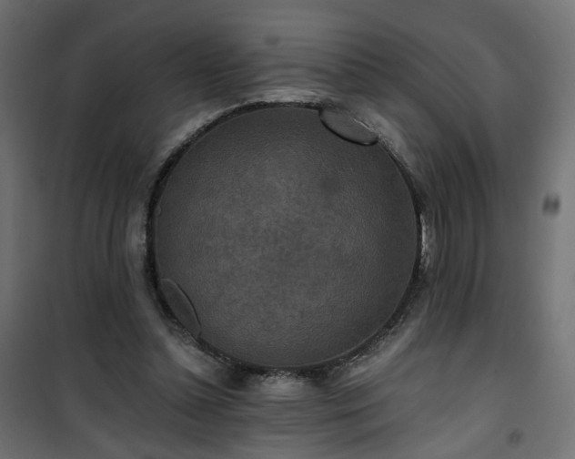 X0000101440348200807141312