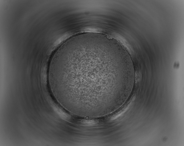 X0000101440349200807141312