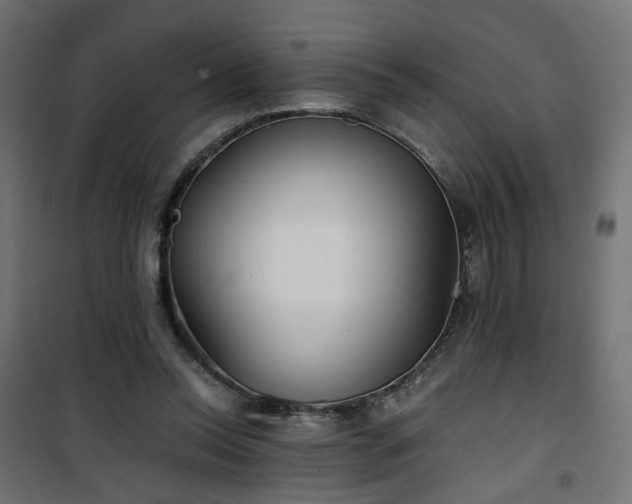 X0000101440350200807141312