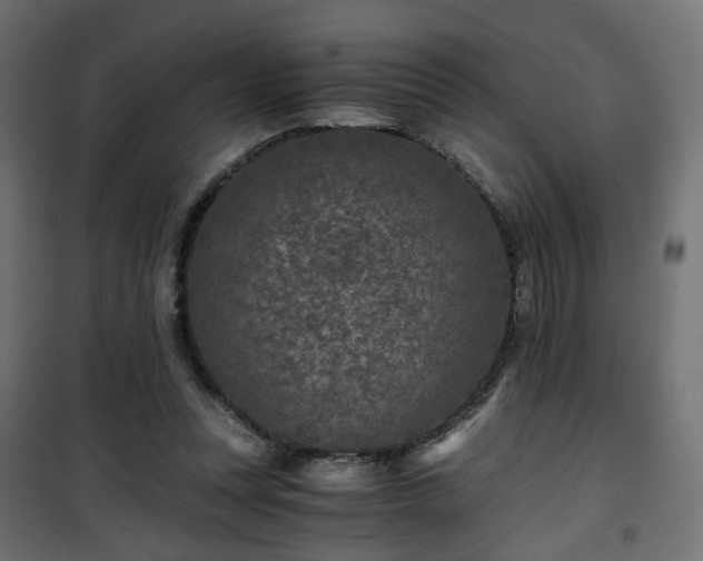 X0000101440351200807141312