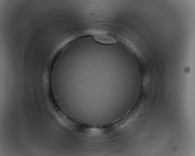 X0000101440352200807141312