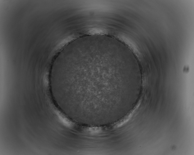 X0000101440353200807141312