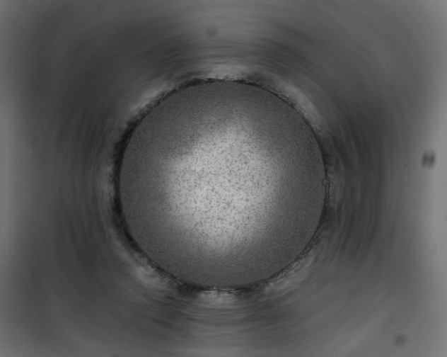 X0000101440354200807141312