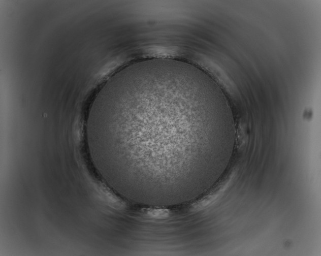 X0000101440355200807141312