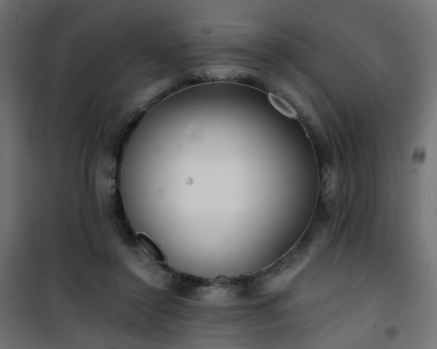 X0000101440356200807141312