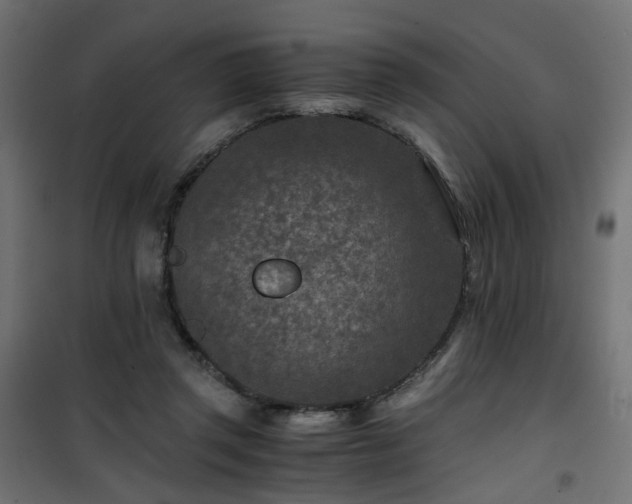 X0000101440357200807141312