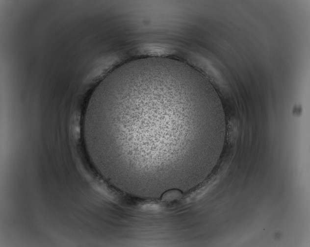 X0000101440358200807141312