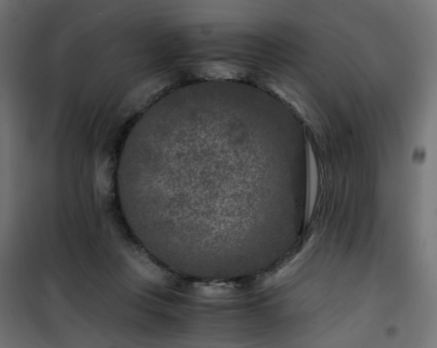 X0000101440359200807141312