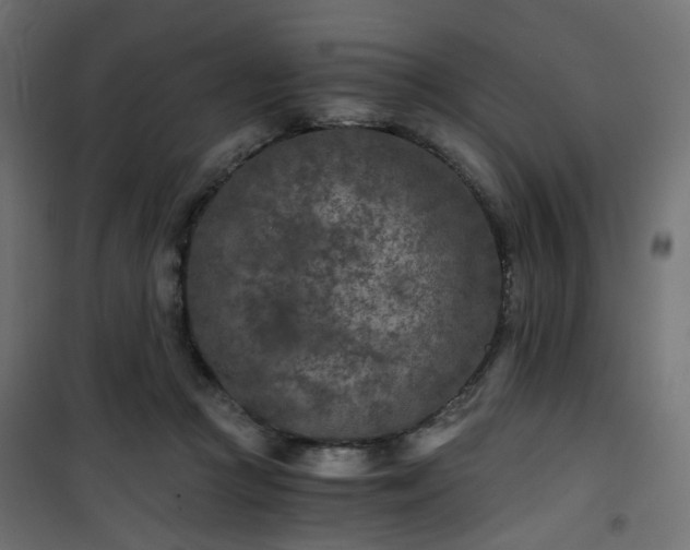 X0000101440361200807141312