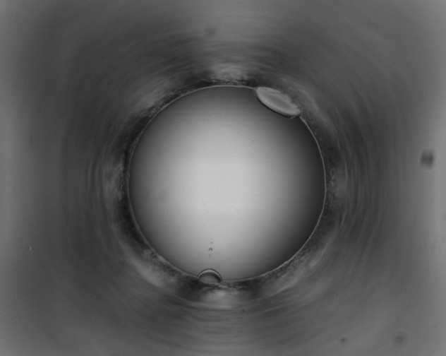 X0000101440364200807141312