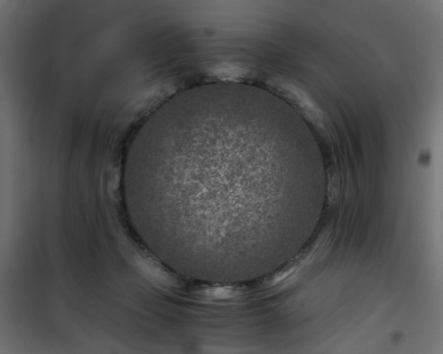 X0000101440365200807141312