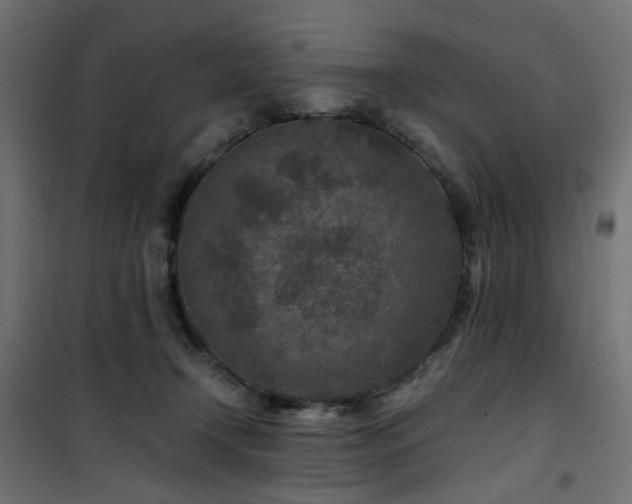 X0000101440366200807141312