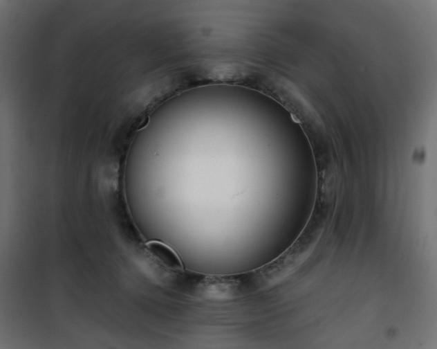 X0000101440368200807141312