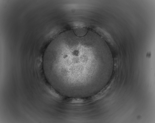 X0000101440369200807141312