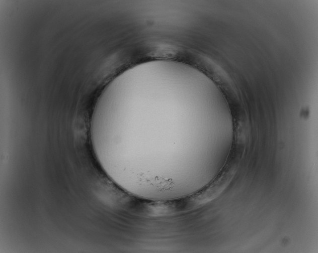 X0000101440370200807141312