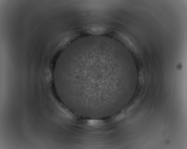 X0000101440371200807141312