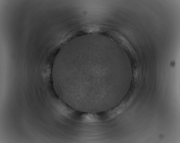 X0000101440372200807141312