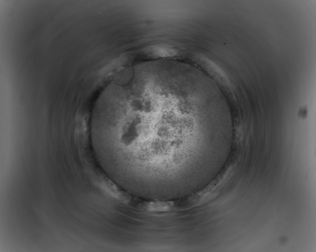 X0000101440373200807141312