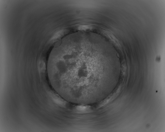 X0000101440375200807141312