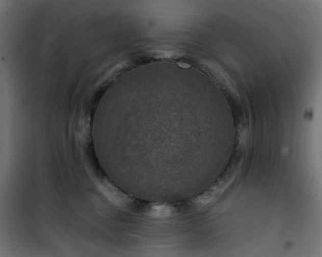 X0000101440376200807141312