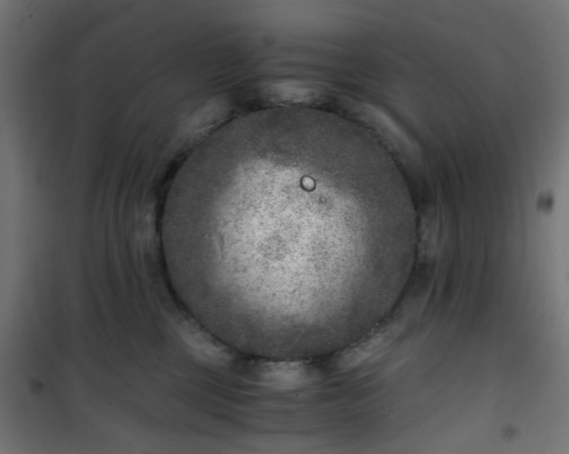 X0000101440377200807141312