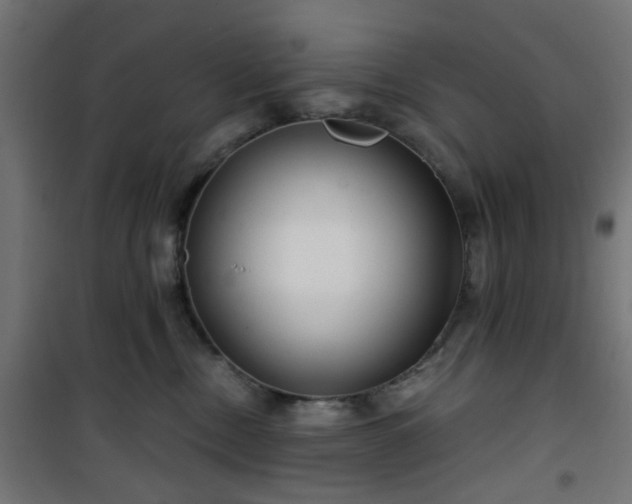 X0000101440378200807141312