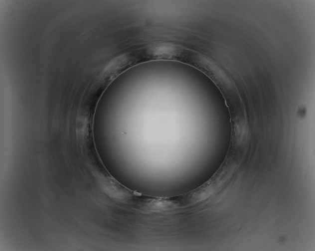 X0000101440379200807141312