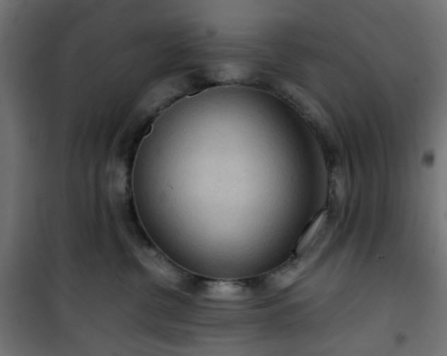 X0000101440380200807141312