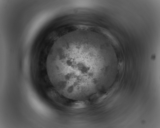 X0000101440381200807141312