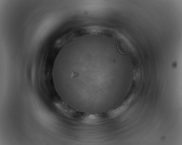 X0000101440382200807141312