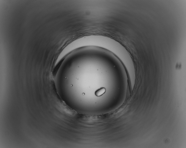 X0000101440384200807141312