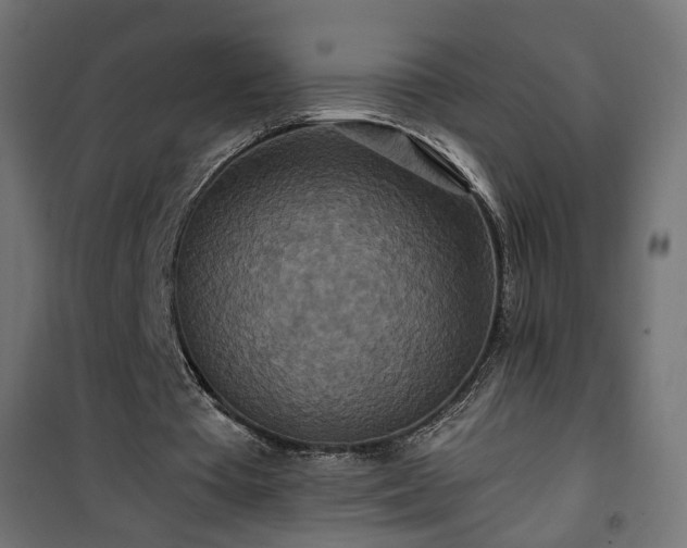 X0000101440385200807141312