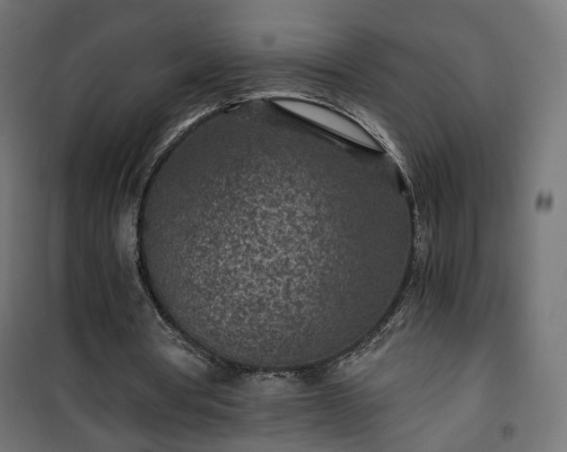 X0000101440386200807141312