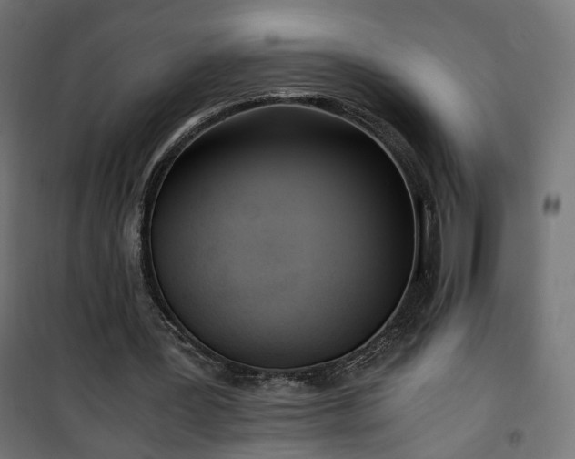 X0000101440387200807141312