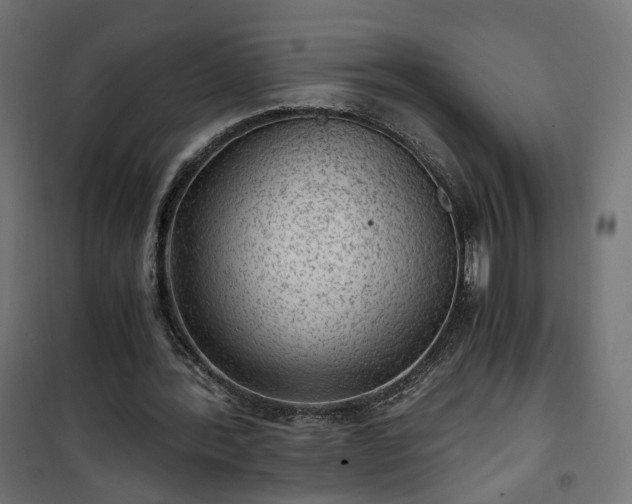 X0000101440388200807141312