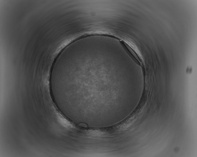 X0000101440389200807141312