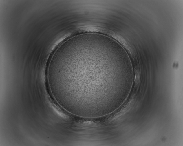 X0000101440390200807141312